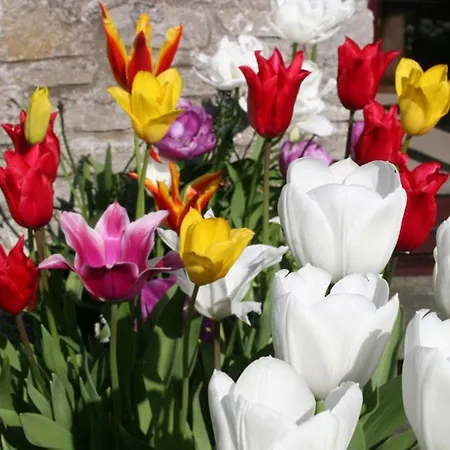 Birslack Grange Feriehus *